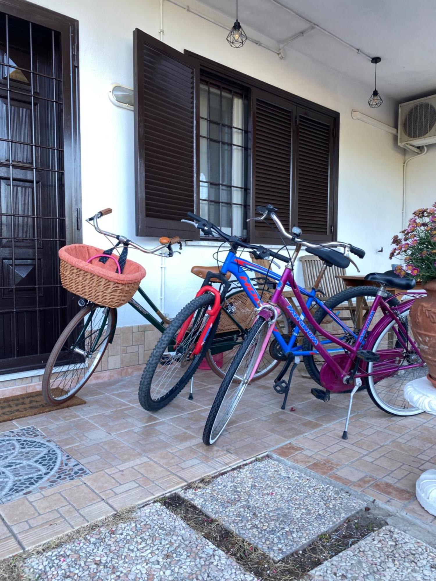 Apartament Anna House Fiumicino Zewnętrze zdjęcie